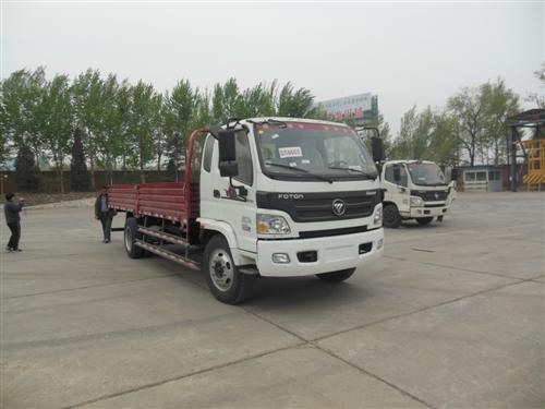 BJ1129VFPEG-FA载货汽车燃油公告图片2