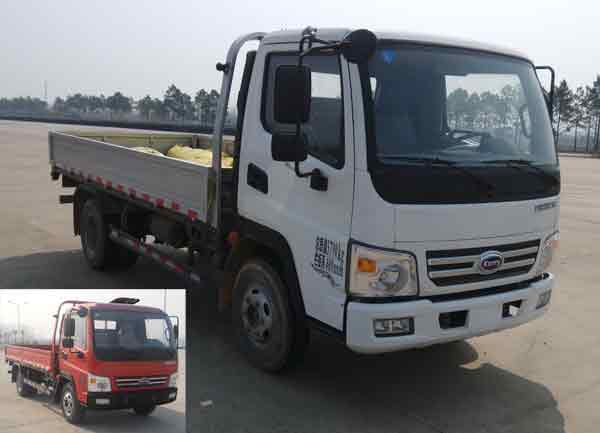 SQR1041H29D载货汽车燃油公告图片2