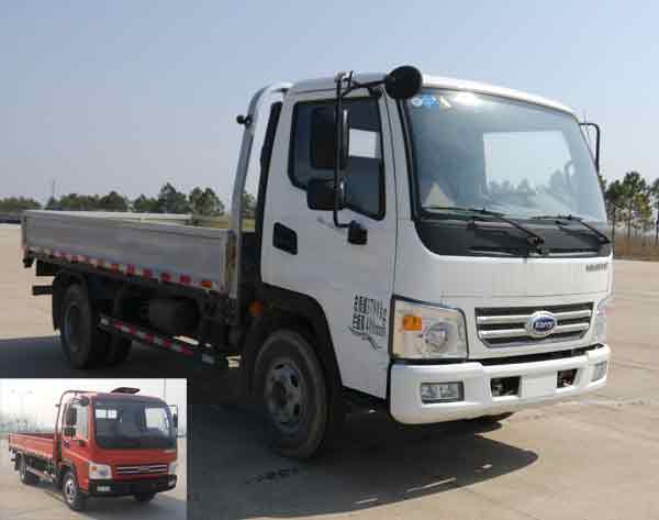 SQR1041H29D载货汽车燃油公告图片2
