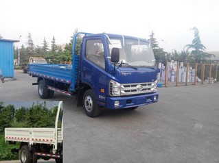 BJ1043V8JEA-L1载货汽车燃油公告图片2