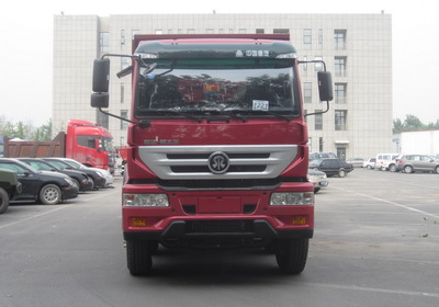 ZZ3311N386GD1自卸汽车燃油公告图片1