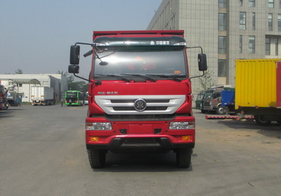 ZZ3251N364GD1自卸汽车燃油公告图片1