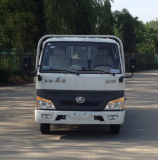 BJ1041P1D42普通货车燃油公告图片1