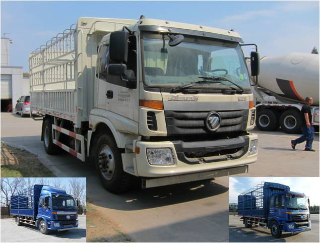 BJ5163CCY-XD仓栅式运输车燃油公告图片2