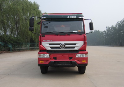ZZ3251N414GD1自卸汽车燃油公告图片1