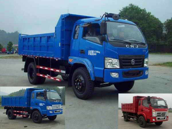 CNJ3160ZFP34M自卸汽车燃油公告图片2