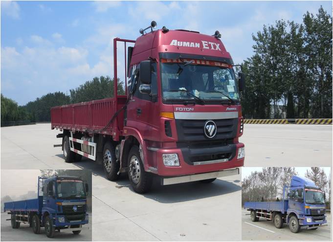 BJ1203VKPHP-XA载货汽车燃油公告图片2