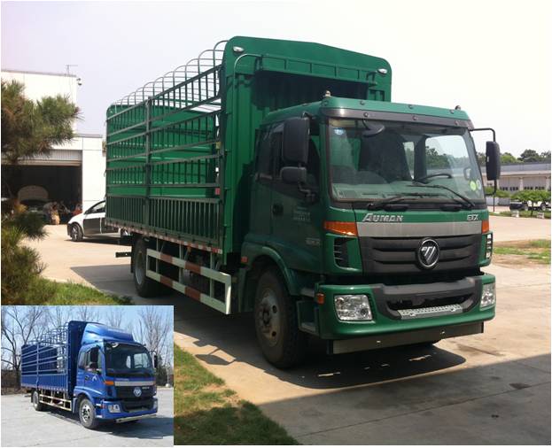 BJ5163CCY-XD仓栅式运输车燃油公告图片2