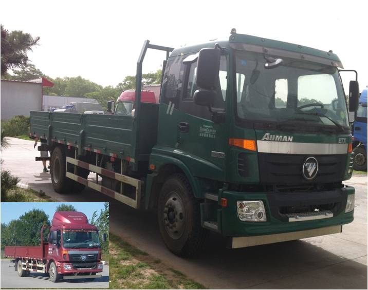 BJ1163VKPGG-XB载货汽车燃油公告图片2