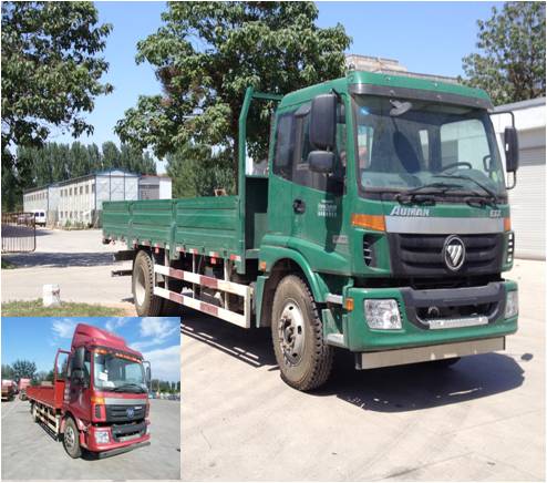 BJ1163VKPGG-XA载货汽车燃油公告图片2