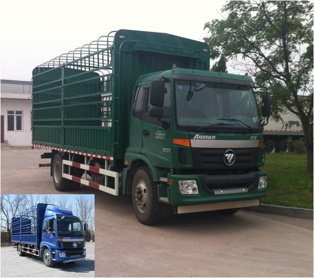 BJ5163CCY-XD仓栅式运输车燃油公告图片2