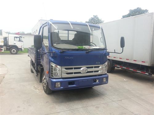 BJ2043Y7JBS-B1越野载货汽车燃油公告图片2