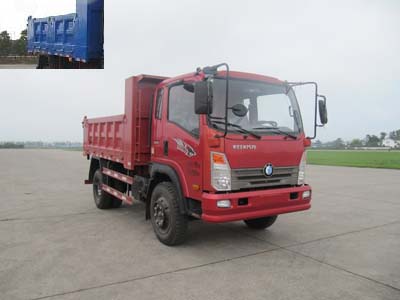 CDW3115A2Q4自卸汽车燃油公告图片2