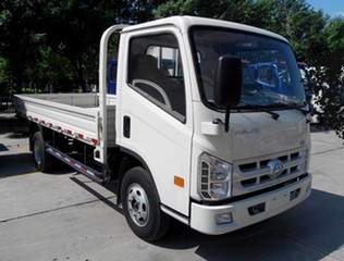 BJ2046Y7JBS-A1越野载货汽车燃油公告图片2