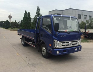 BJ2043Y7JBS-B1越野载货汽车燃油公告图片2