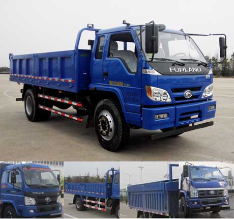 BJ3165DJPED-1自卸汽车燃油公告图片2