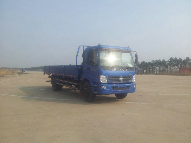 BJ1139VJPFK-AA载货汽车燃油公告图片2
