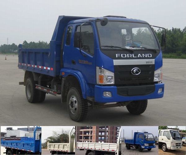 BJ3042D8PEA-G1自卸汽车燃油公告图片2