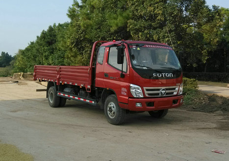 BJ1099VEPED-FD载货汽车燃油公告图片2