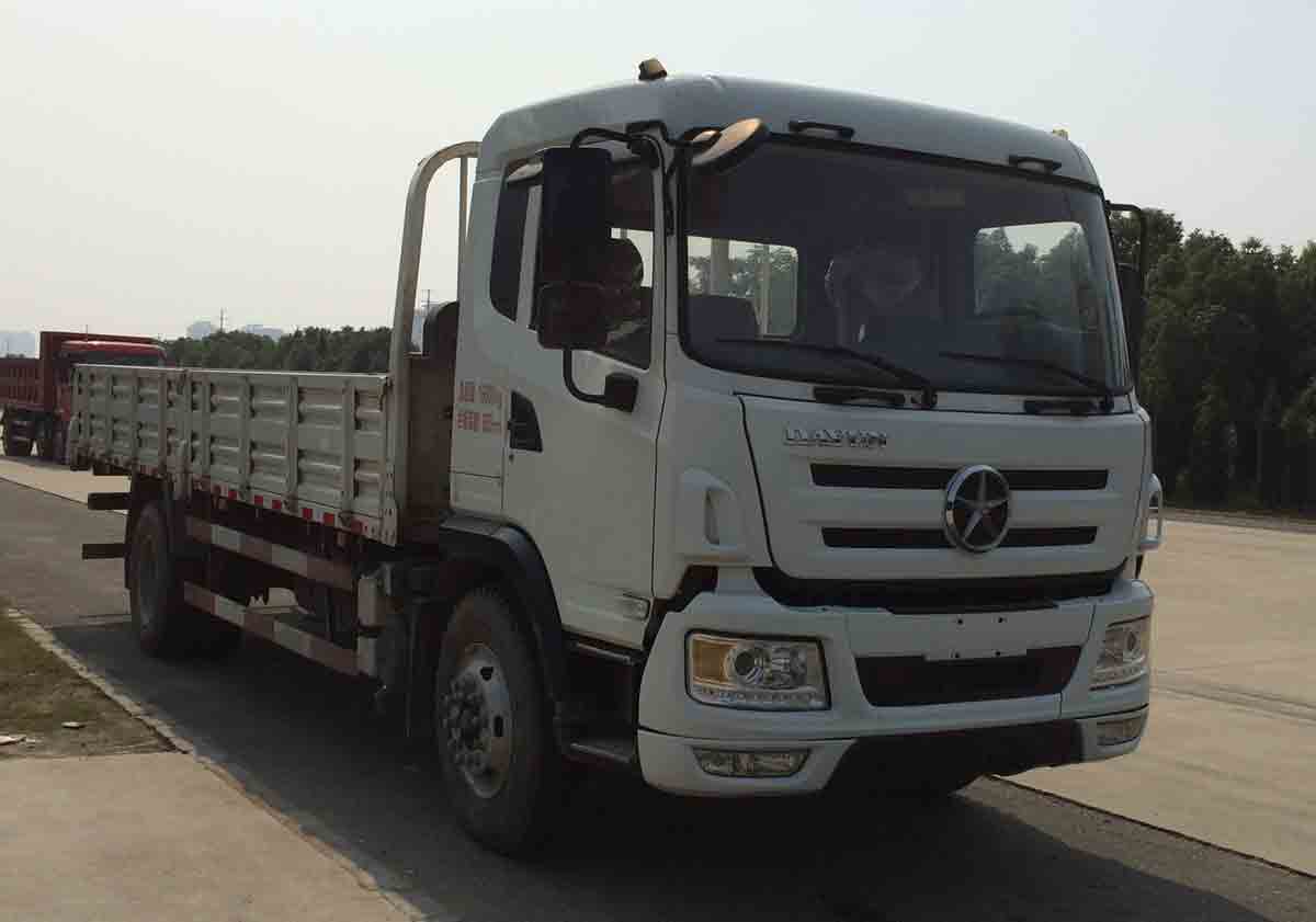 CGC1161D47AA载货汽车燃油公告图片2