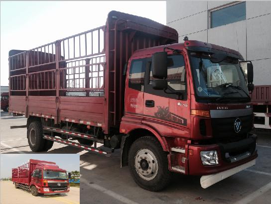 BJ5139CCY-A1仓栅式运输车燃油公告图片2