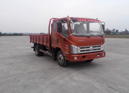 BJ1043V9PEA-N2载货汽车燃油公告图片2