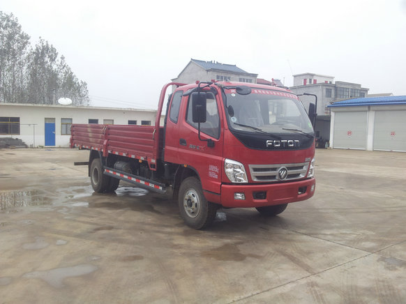 BJ1099VEPED-FD载货汽车燃油公告图片2