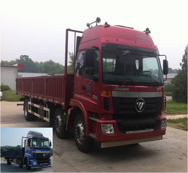 BJ1252VMPGP-XA载货汽车燃油公告图片2