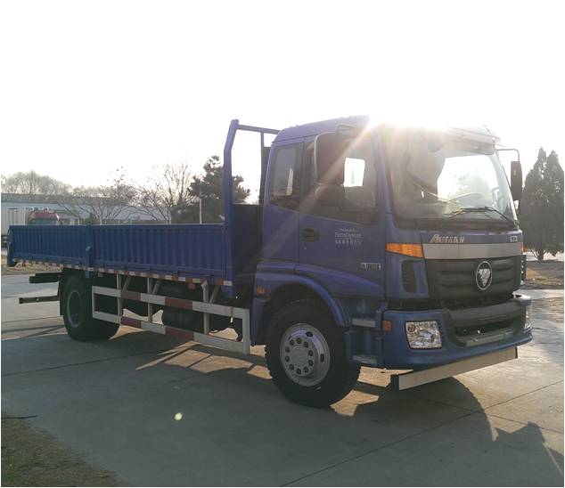 BJ1163VKPEG-FA载货汽车燃油公告图片2
