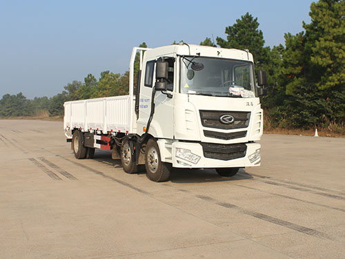 HN1160H22ELM4载货汽车燃油公告图片2