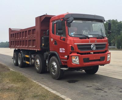 DFZ3310GSZ4D1自卸汽车燃油公告图片2