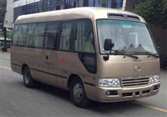 TX6602AF客车燃油公告图片2