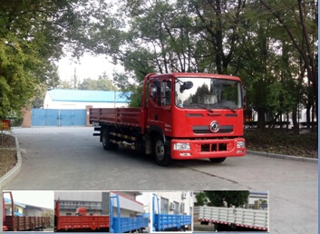 DFA1140L10D7载货汽车燃油公告图片2