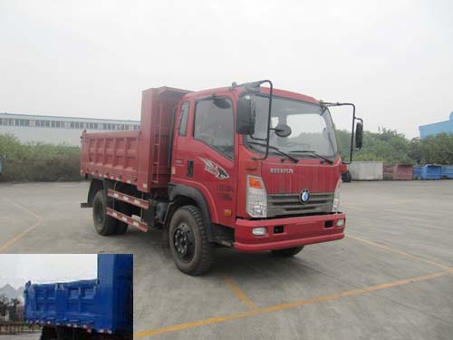 CDW3113A2Q4自卸汽车燃油公告图片2
