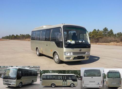 ZK6729DT1客车燃油公告图片2