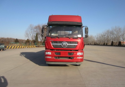 ZZ1313N466GD1载货汽车燃油公告图片1