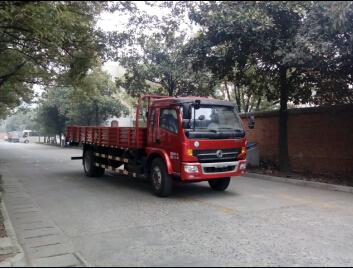 DFA1140L11D6载货汽车燃油公告图片2