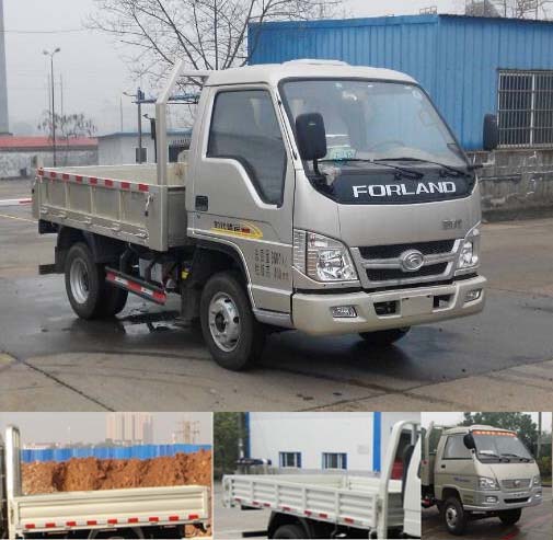 BJ3042D8JBA-G1自卸汽车燃油公告图片2