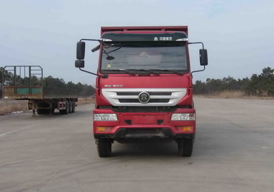 ZZ3251N384GD1自卸汽车燃油公告图片1