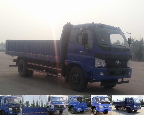 BJ3145DJPFG-1自卸汽车燃油公告图片2