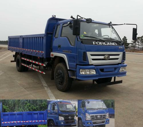 BJ3125DGPFG-1自卸汽车燃油公告图片2