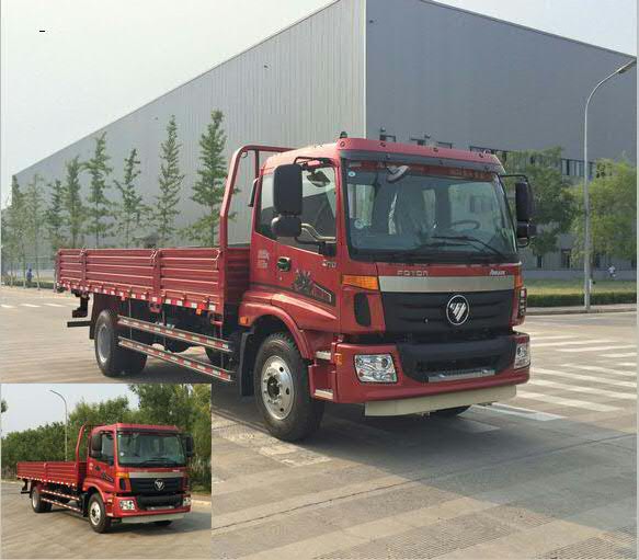 BJ1169VKPEK-A2载货汽车燃油公告图片2