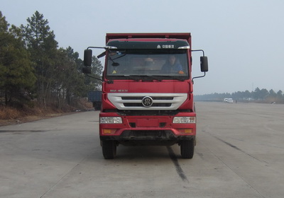 ZZ3251N364GD1自卸汽车燃油公告图片1