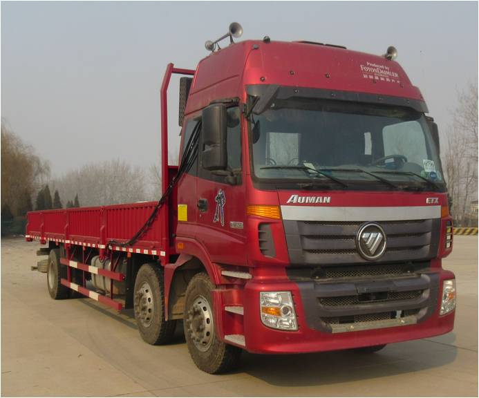 BJ1253VMPHP-XA载货汽车燃油公告图片2