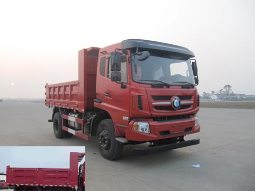 CDW3161A1N4自卸汽车燃油公告图片2