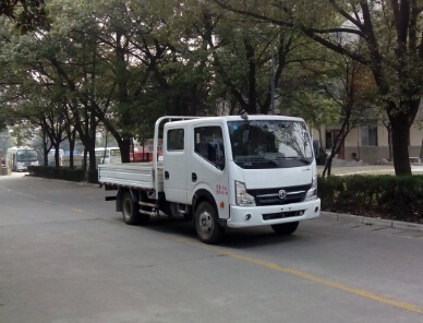 EQ1043D9BDD载货汽车燃油公告图片2