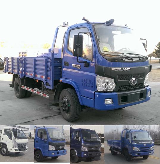 BJ2045Y7JEA-3越野载货汽车燃油公告图片2