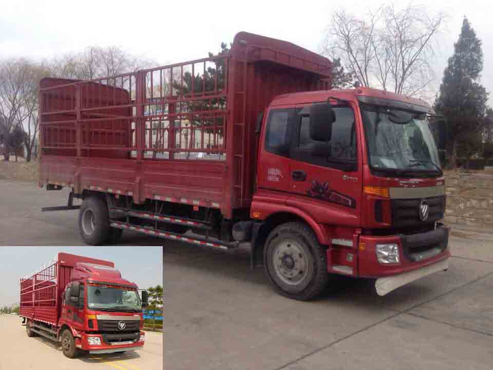 BJ5139CCY-F1仓栅式运输车燃油公告图片2