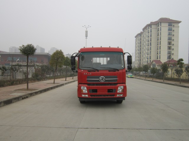 DFL1120B13载货汽车燃油公告图片1