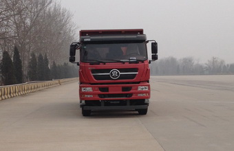 ZZ3313N3661D1N自卸汽车燃油公告图片1